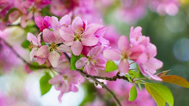 Website Photos
 Hero