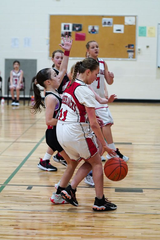 Basketball Tournament - Birnamwood
 Hero